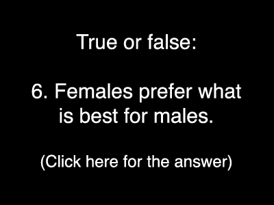 Evolution Quiz 6