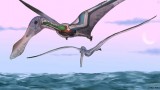 Biologists Discover How Prehistoric Flying Reptiles Stayed Aloft