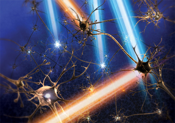 Illuminating the Mind