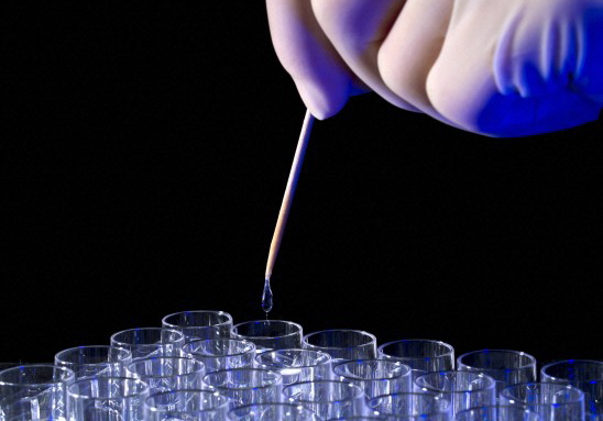 Can DNA Tests Reveal Nationality?