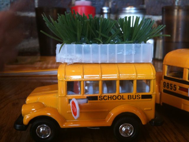 New York Buses Could Sprout Roots