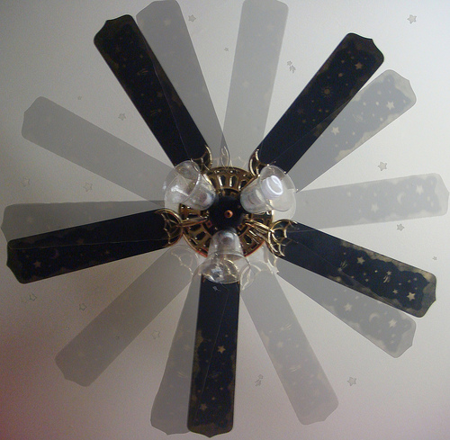The Truth About Fan Death