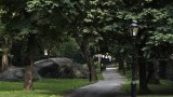Can a Stroll in the Park Replace the Psychiatrist’s Couch?
