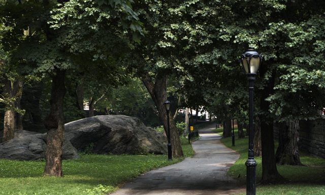 Can a Stroll in the Park Replace the Psychiatrist’s Couch?
