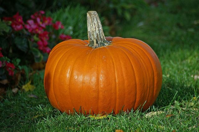 New York City Science Events for the Week of October 24th