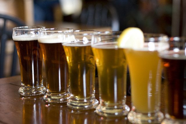 Dissecting Your Favorite Brew