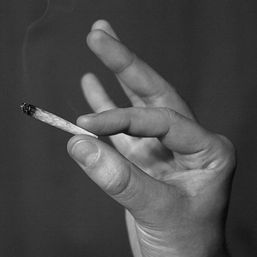 What's in Your Weed?