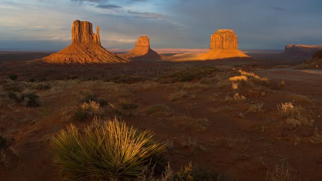 An “Overwhelming Problem” in the Navajo Nation
