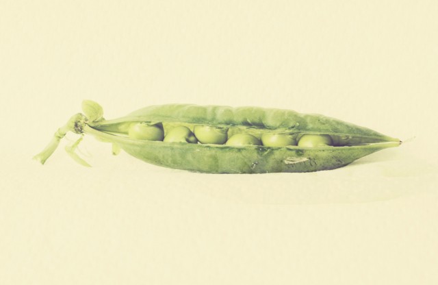 Rethinking the gene