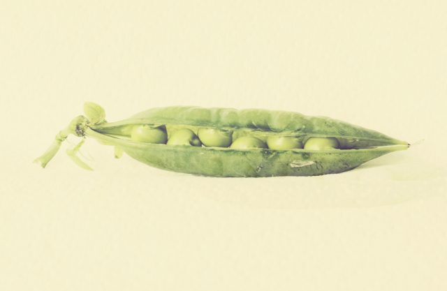 Rethinking the gene