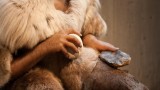 Are you smarter than a Neanderthal toolmaker?