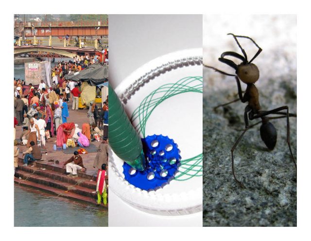 Pilgrims, drawing machines, and ants galore