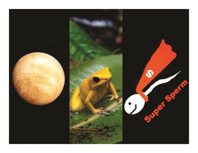 Lonely planets, disappearing frogs, and medicinal sperm