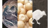 Basking embryos, pale kiwi, and Paleo-Earth
