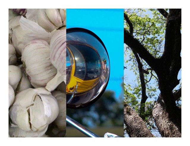 Garlic, space-time and foliage