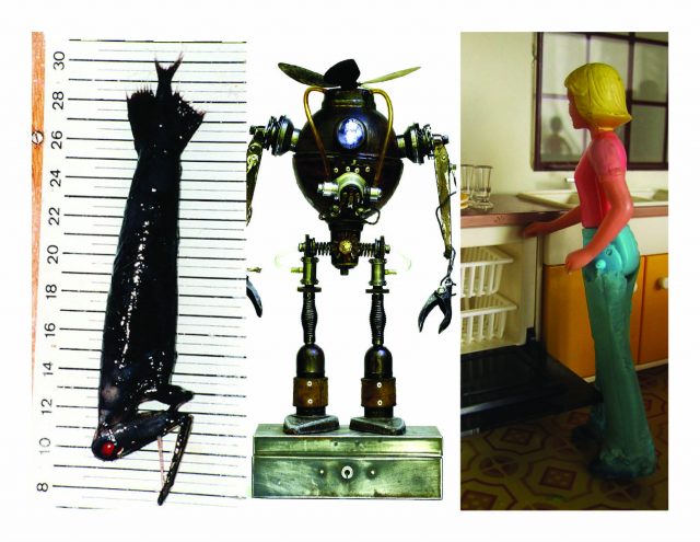 Dolls, thinking machines, and a very bizarre fish