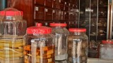 Tiger bones, bear bile, and pangolin scales