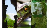 Disco frogs, stovetop reactors, and a freaky face