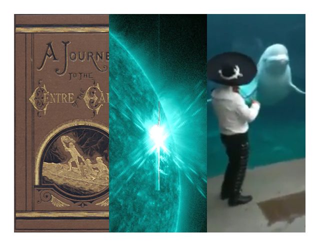Sci-fi faves, solar flares and dancing whales