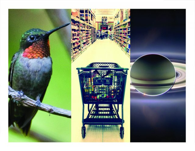 Shadowy Saturn, fluttering flight, and determining decisions