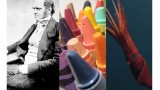 Darwin, crayons, and squid sperm