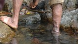 Varicose vein treatments are equivalent — or are they?