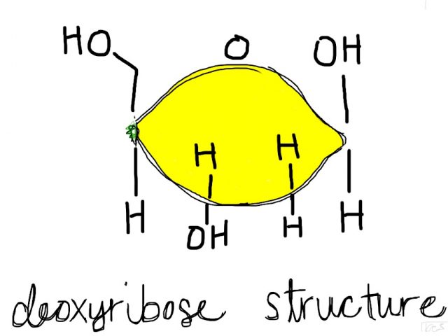 Say what? Science: DNA