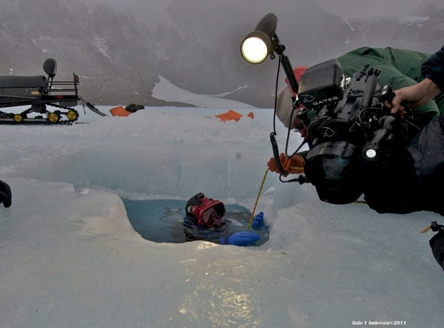 Life in Antarctica to life in space: A Q&A with a SETI researcher