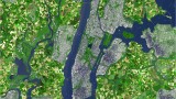 A tale of three cities