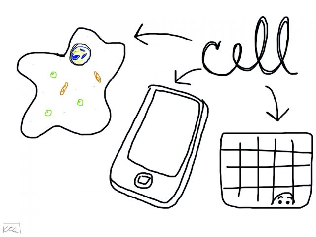 Battery Of Cells