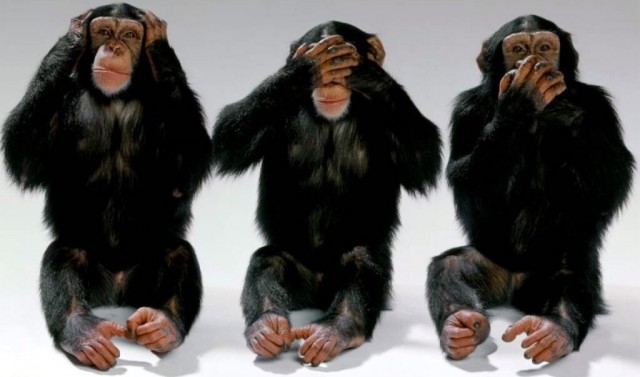 The state of Tennessee versus the theory of evolution