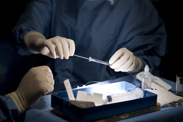 Nobel Prize in medicine recognizes discoveries in cloning and stem cell research