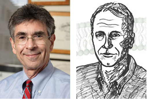 Chemistry Nobel Prize awarded to receptor biologists