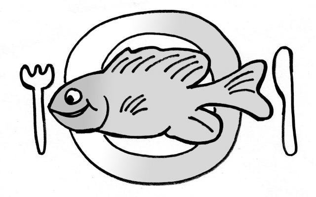 Sustainable tilapia farm comes to Baltimore