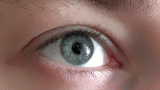 Why do our pupils dilate?