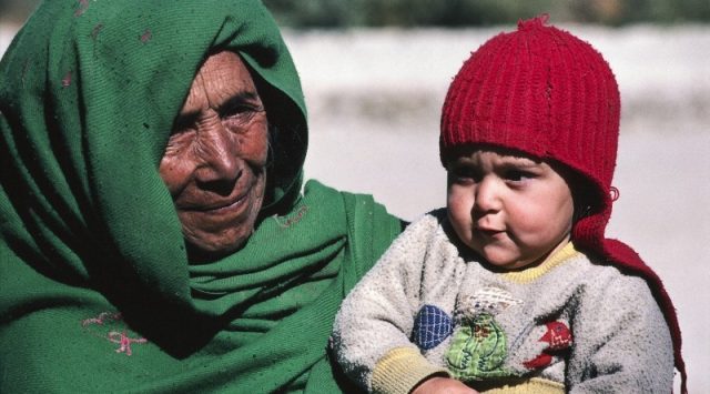 Revisiting the Grandmother Hypothesis