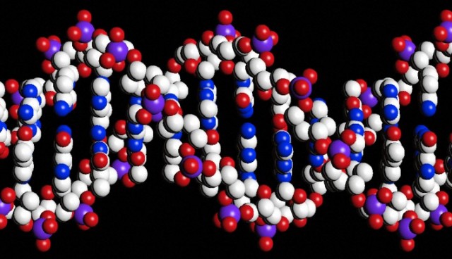 A transformation akin to damaged DNA