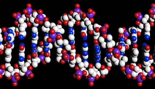 A transformation akin to damaged DNA