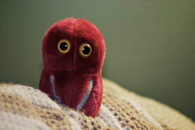 Flesh-eating bacteria: an underachieving scourge