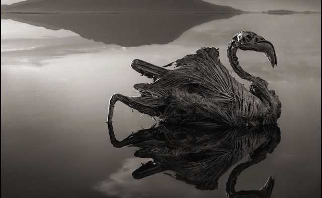 A mummifying lake