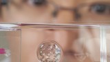 Seeing our insides with a bug’s eye view