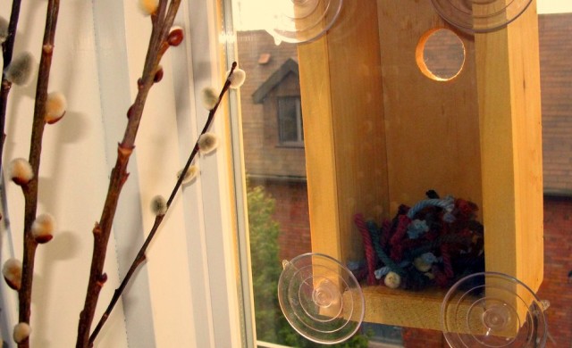 On the ground: How to spy on a birdhouse