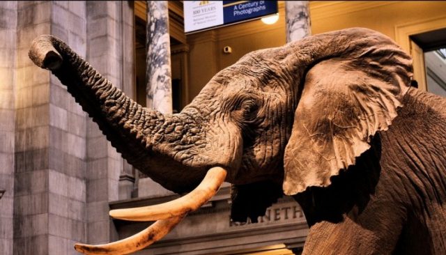 On the ground: A tale of two museums