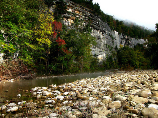 On the ground: Hogs on the Buffalo National River