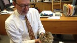 What does a hibernating brain look like?