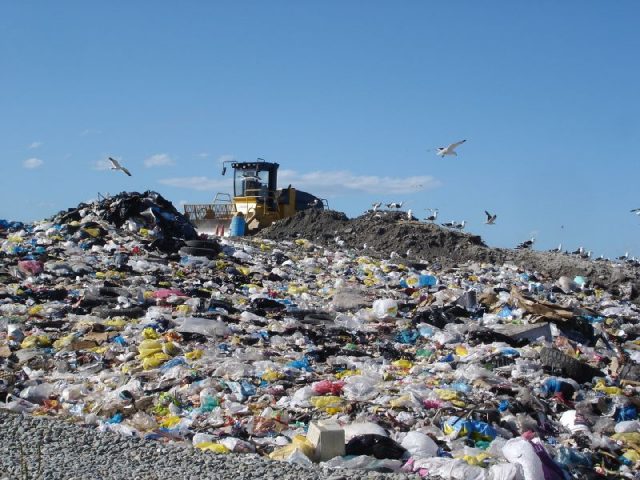Breaking our plastic habit