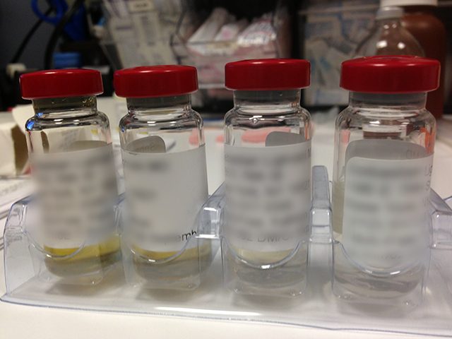No more needles for allergy sufferers?
