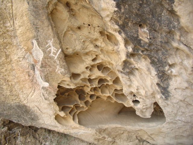 Saving the Stone Age