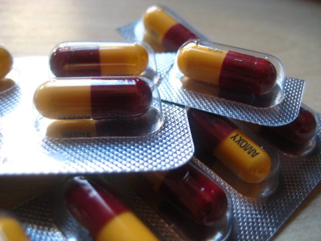 More bugs, healthier people
