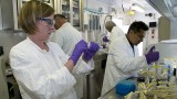 Why salmonella is so hard to beat